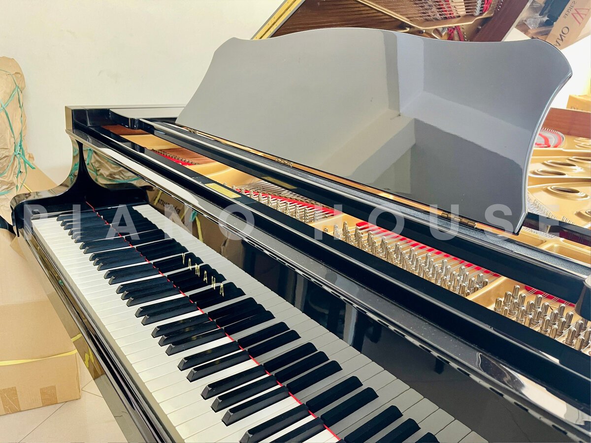 YAMAHA C7B seri 4.8 - Ảnh thực tế 8